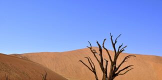 Jaka ceramika do łazienki?