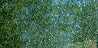 Czym się różni płyta laminowana od lakierowanej?