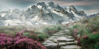 Jakie łańcuchy w góry?