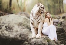 Co jest bardziej niebezpieczne start czy lądowanie samolotu?