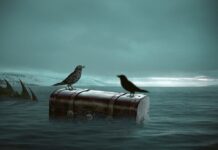 Jaki kufer na jeden kask?