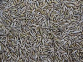 Gdzie jest produkowany XC60?