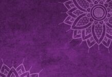 Jaki jest mandat za brak kasku na motorze?