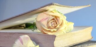 Czy warto kupić używanego Fiata Sedici?