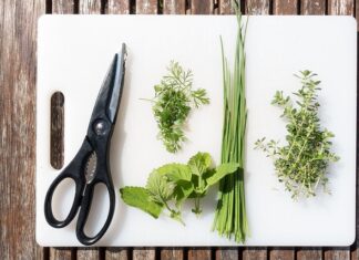 Czy sekator można naostrzyć?