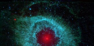 Jaką kupić ostrzałkę do łańcuchów?