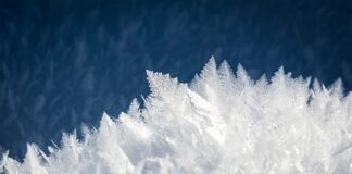 Czego nie można zamrażać?