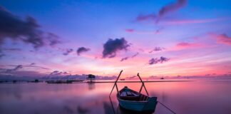 Jaki kolor siedziska do przedpokoju?