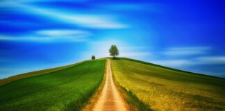 Jak nazywa się chodzenie po dachach?