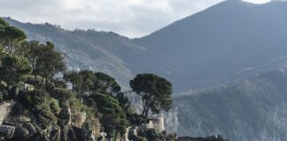 Ile kosztuje samolot 4 osobowy?