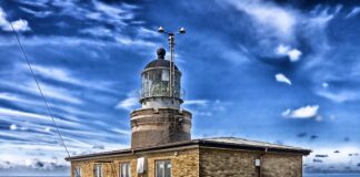 Jakie silniki ma Scania?