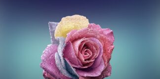 Czym się rożni 118d od 120d?