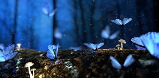 Czy drewno rysuje teflon?