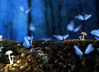 Czy drewno rysuje teflon?