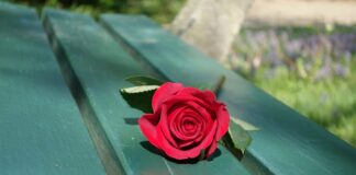 Jak zrobić ławkę ze starego łóżka?